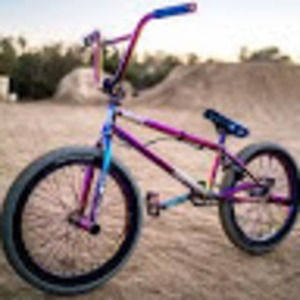 Meet your Posher, Dalton